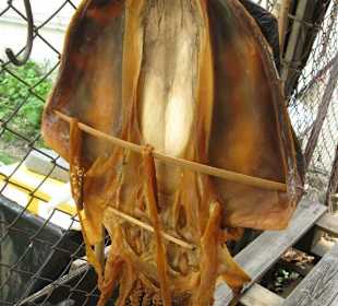 getrockneter Tintenfisch