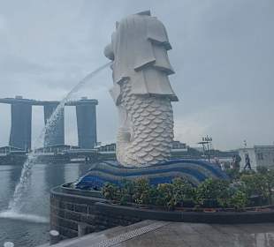 Merlion MBS