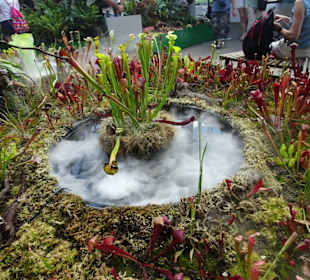 Stadtrundgang Sydney