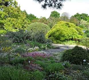 Spaziergang durch den Berggarten Hannover