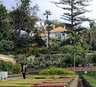 Jardim Botanico