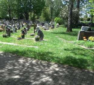 Friedhof