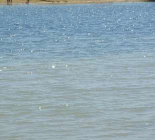 Strand von Bibione 06-2010