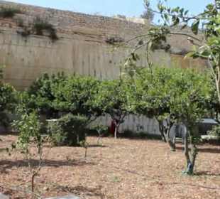 The Limestone Heritage Park & Gardens