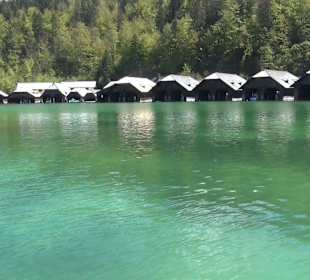 Schifffahrt St. Bartholomä nach Schönau