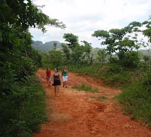 The red tracks of vinales