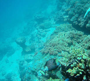 Tagestour mit Poseidon-Cruises