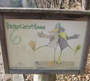 Der wunderschöne Sandwiesenweiher