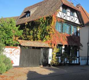 Altstadt Lauterbourg 