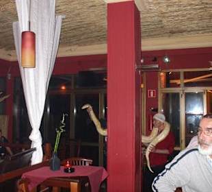 El-momento / Dschungel-Bar