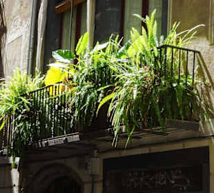 Impressionen aus dem Barri Gòtic