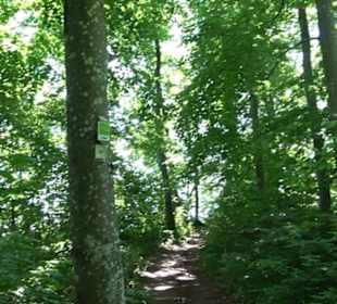 Premiumwanderweg "hochgelegen"