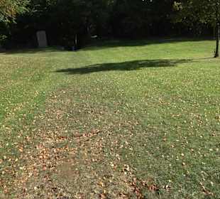 Burgruine Bussen Offingen