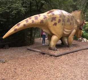 Dinosaurier Museum Altmühltal