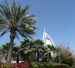 Blick aus dem Garten