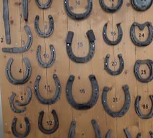 Haupt- und Landgestüt Marbach