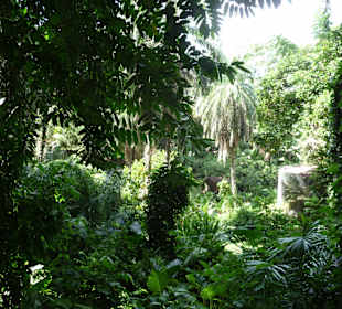 Victoria - Botanischer Garten