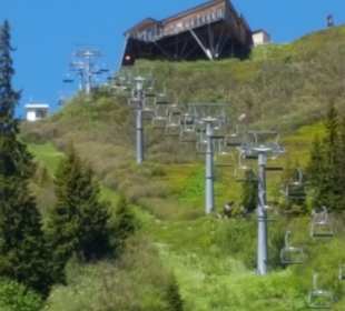 Wandern Donnersbachwald