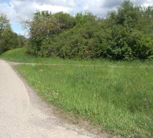 Naturdenkmal Klafertlinde