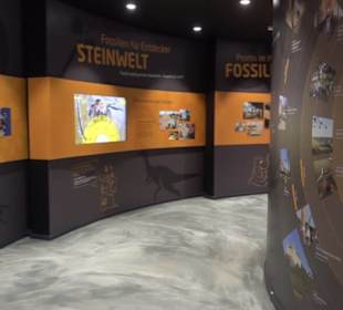 Dinosaurier Museum Altmühltal