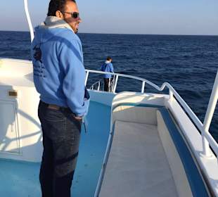 Mo hält Ausschau nach Delphinen