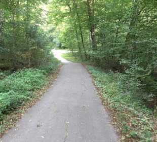 Altwege Rundwanderung Bebenhausen