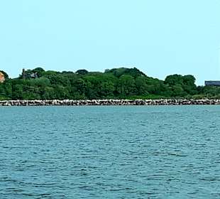 Apollo Tagestour zur Greifswalder Oie 