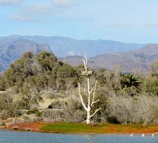 Dünen von Maspalomas