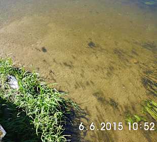 Piękna Krutynia, postój podczas spływu.