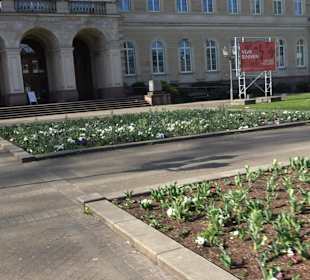Staatliches Naturkunde Museum