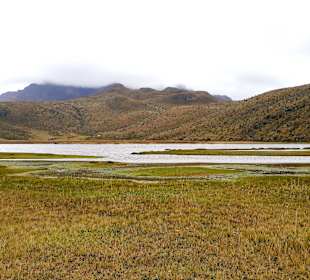 Cotopaxi Nationalpark