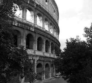 Colosseo bianco e nero