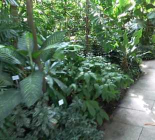 Gewächshäuser Botanischer Garten