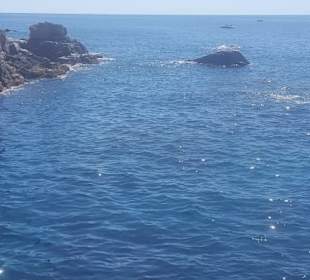 Playa fenal