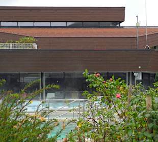 Auch im November noch Rosen im Aussenbereich