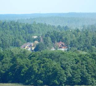Wyborg