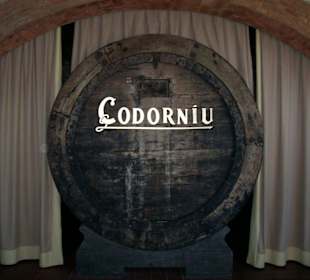 Kellerei Codorniu