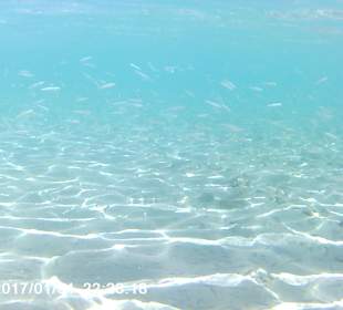 Schnorcheln Makadi Bay