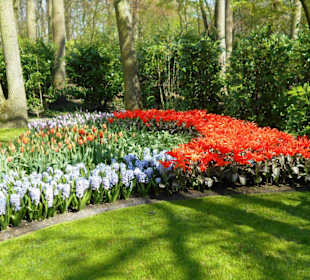 Blumenpracht im Keukenhof