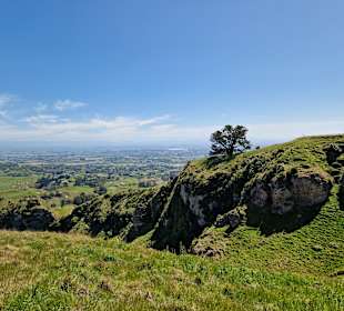 Te Mata