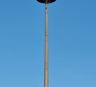 Storch an der Feuerwehr in Pensin.