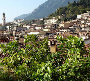Blick auf Limone