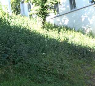 Ehemalige evangelische Schule