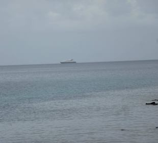 Schnorcheln vor Isla Lobos