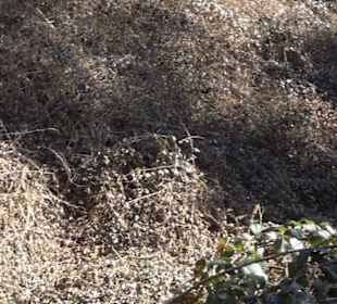 Historischer Rundwanderweg Aichtal