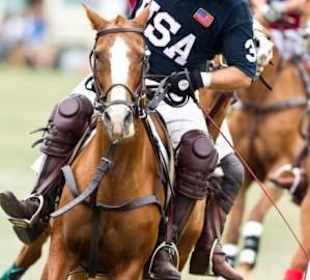 Newport International Polo Series