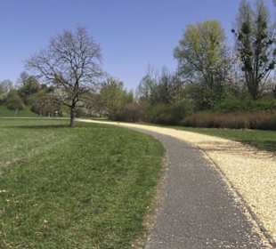 Sport- und Freizeitpark Markwasen