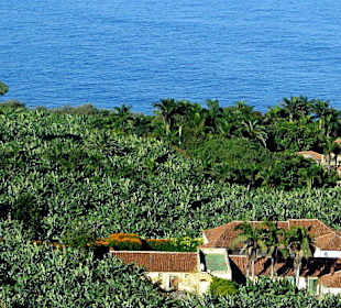 Blick vom Mirador Richtung Icod de los Vinos