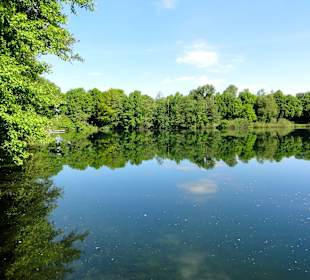 Blick über den Stadtwaldsee