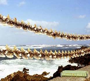 Vorrichtung für Trockenfisch bei Orzola